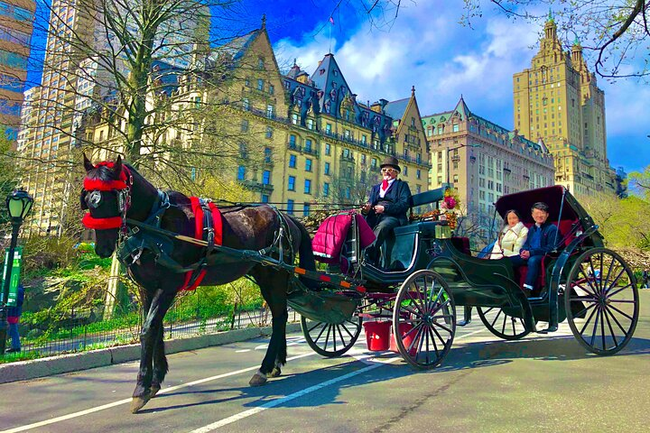  THE VIP CARRIAGE RIDE with photo stops (50min) ~ Skip the line  - Photo 1 of 25